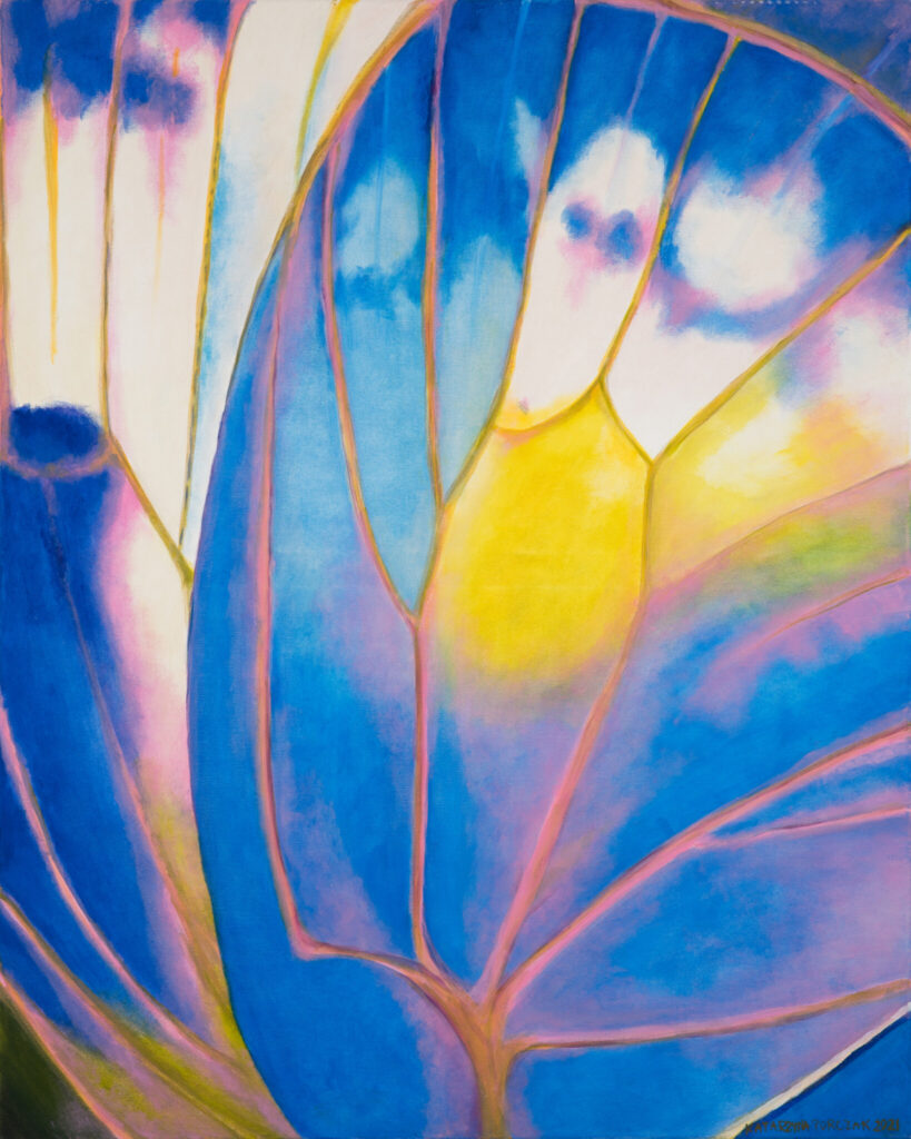 Nadksiężycowe Raje